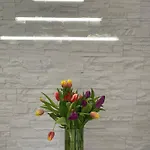 Hotel Brilliance Warna