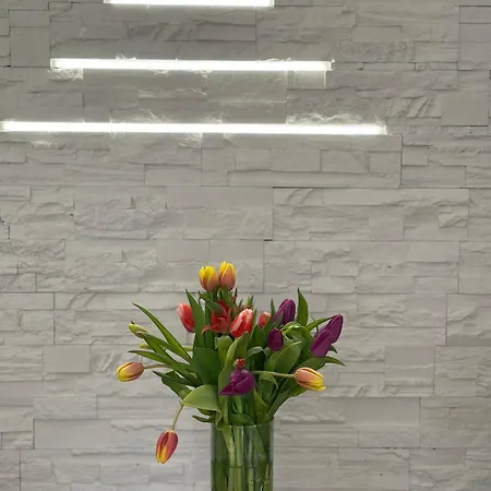 Отель Brilliance Варна