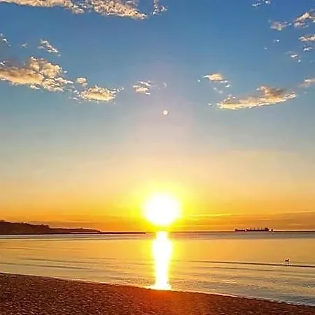 Brilliance Varna